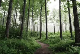 刘翔球队席_山东球迷热议(刘翔110米栏世界纪录保持了多少年)
